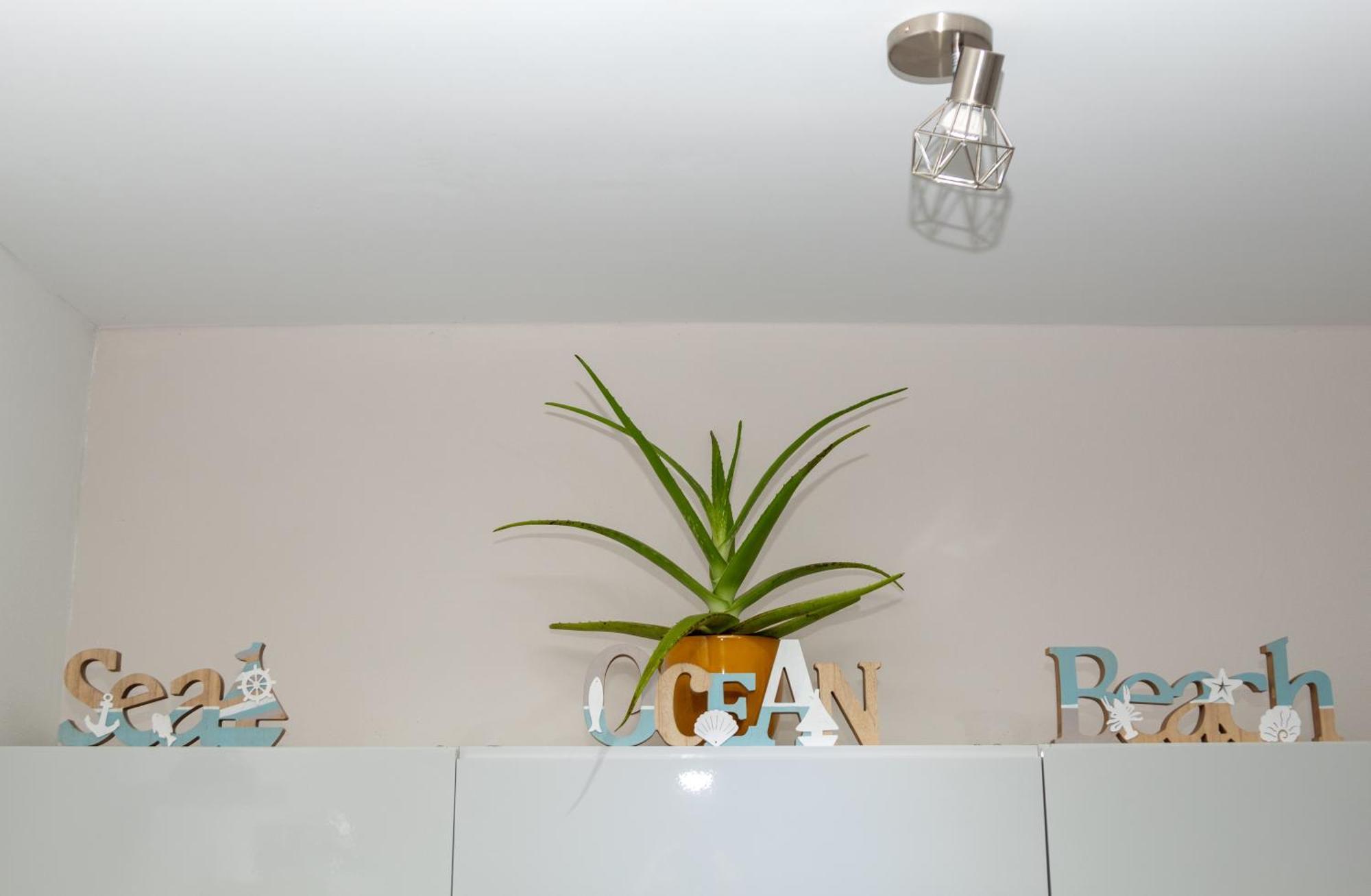 New! Cozy 1 Bedroom Condo- Gold Coast, Noord Aruba Palm Beach Exterior foto